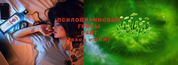 бошки Алексин