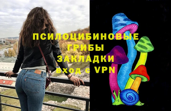 бошки Алексин