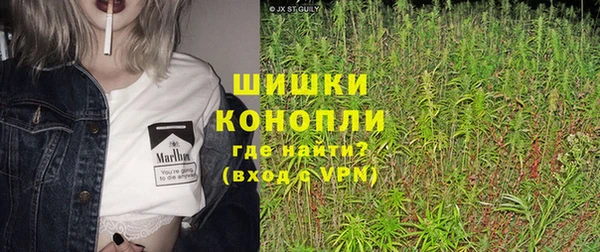 бошки Алексин