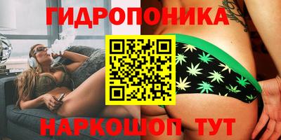 дмт Малгобек